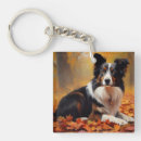 Suche nach border collie schlüsselanhänger Herbst