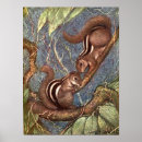 Suche nach chipmunk poster Niedliche tiere