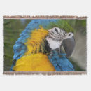 Suche nach papagei decken Vogel