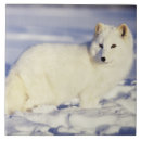 Suche nach fuchs fliesen Usa