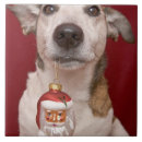 Suche nach russell fliesen Niedlich