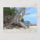 Suche nach sandiger strand postkarten Ozean