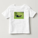 Suche nach pferdekutsche tshirts Landschaft
