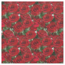 Suche nach hübsche rote rose Blume