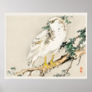 Suche nach spottdrossel poster Natur