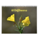 Suche nach weiße blumen kalender Wildblumen