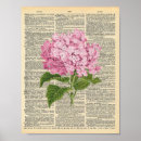 Suche nach rosa hydrangea poster Vintag