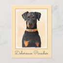 Suche nach dobermann pinscher postkarten Doberin