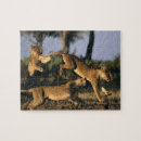Suche nach afrika puzzle Botsuana