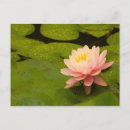 Suche nach tau postkarten Blüte