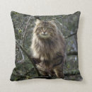 Suche nach maine coon kissen Tiere