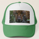 Suche nach jaguar kappen Wild