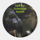Suche nach großer affe magnete Gorilla