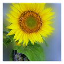 Suche nach heller hintergrund poster Farbe
