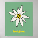 Suche nach tyrol poster Alpen