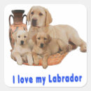 Suche nach labrador aufkleber Haustiere