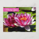 Suche nach rosa lilien postkarten Vorlage