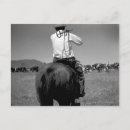 Suche nach zwei pferde postkarten Foto