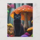 Suche nach bunte katze postkarten Schwarzkatze