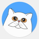 Suche nach persische katze aufkleber Weiß
