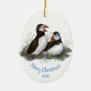 Suche nach puffin ornamente Vogelvogel