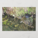 Suche nach teiche einladungen Wasser