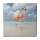 Suche nach flamingo fliesen Tropisch