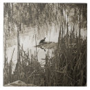 Suche nach die reptilien fliesen Natur