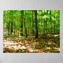 Suche nach perspektive poster Wald
