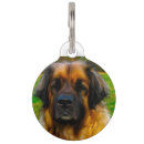 Suche nach leonberg Dogs