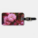 Suche nach kirschen gepäckanhänger Sommer