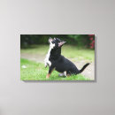 Suche nach tatze leinwandbilder Hund