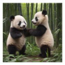 Suche nach baby panda poster Pandas
