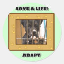 Suche nach welpenmühlen Adoptieren sie