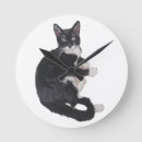 Suche nach unique kunst Cat