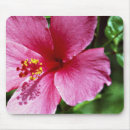 Suche nach flora elektronik zubehör Hibiskus