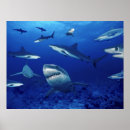 Suche nach terror poster Ozean