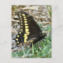 Suche nach fracks postkarten Insekten