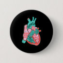 Suche nach menschliches herz buttons Anatomie