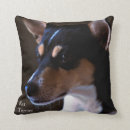 Suche nach ratten kissen Terrier