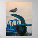 Suche nach seemöwe poster Meer