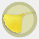 Suche nach ginkgo blätter aufkleber Herbst