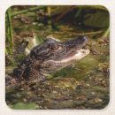 Suche nach amphibie untersetzer Wasser