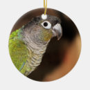 Suche nach olive ornamente Niedlich