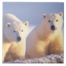 Suche nach säugetiere fliesen Tragen