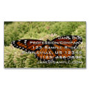 Suche nach orange schmetterling visitenkarten Natur