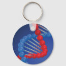 Suche nach dna schlüsselanhänger Wissenschaft