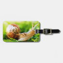 Suche nach schnecken geschenke Insekt