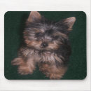 Suche nach yorkie mousepads Computer