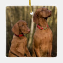 Suche nach jagd über ornamente Haustier